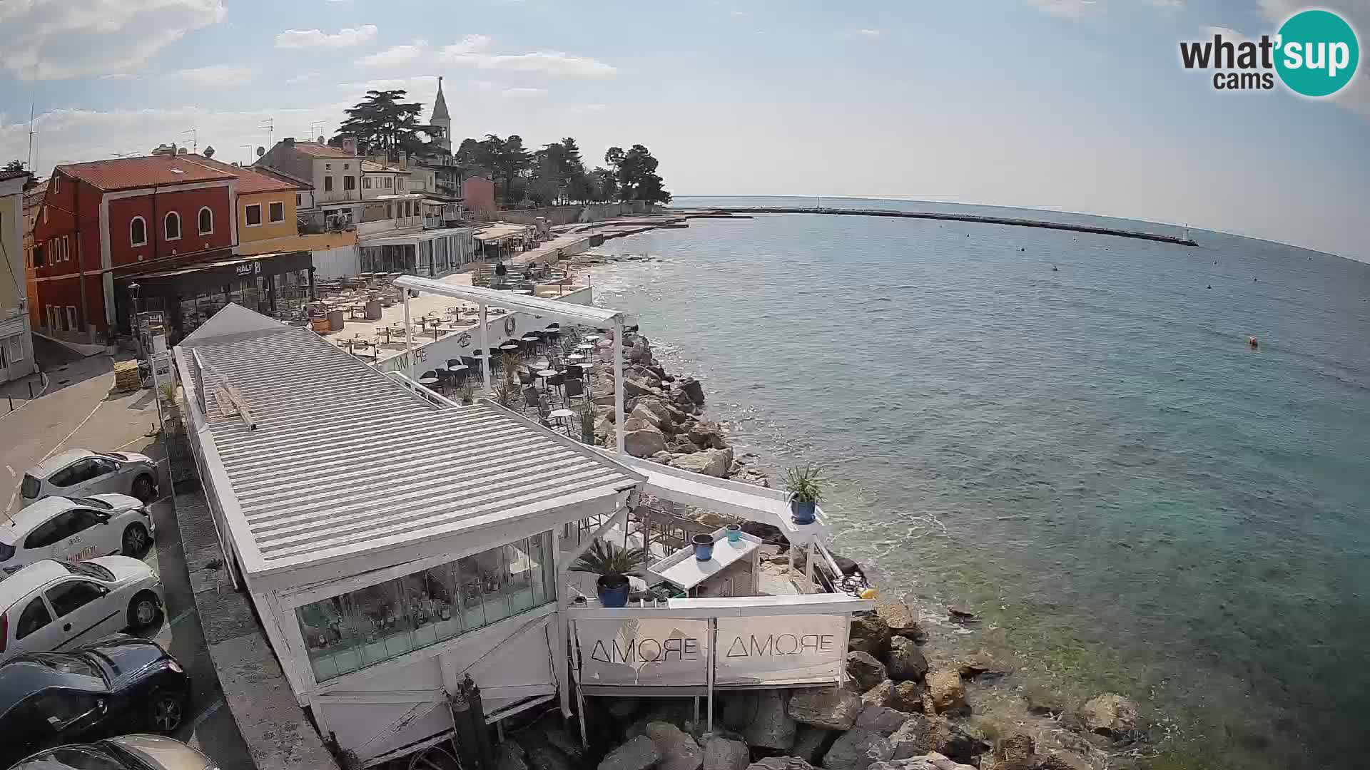 Novigrad – Porporela