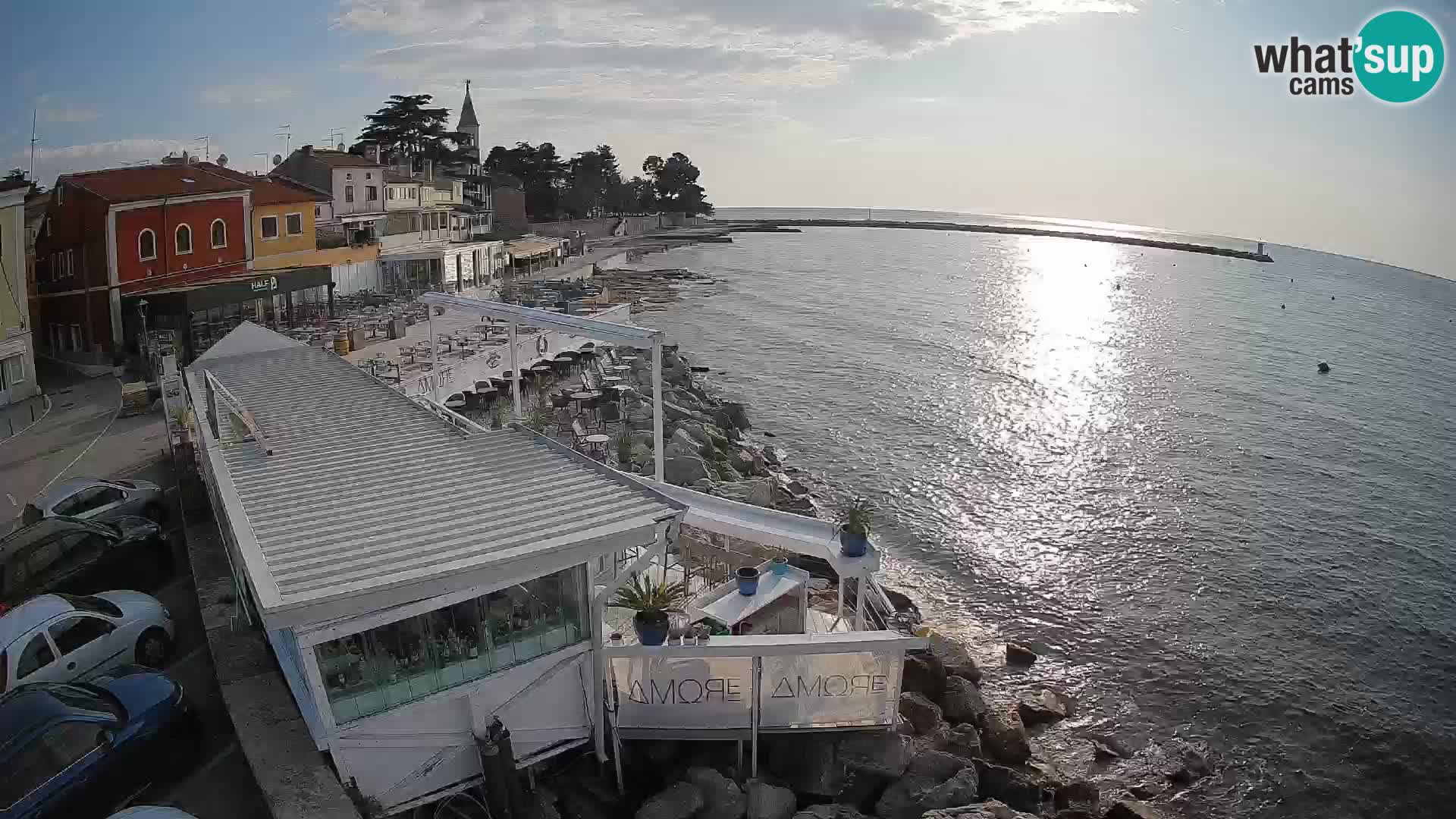 V živo Novigrad – Porporela