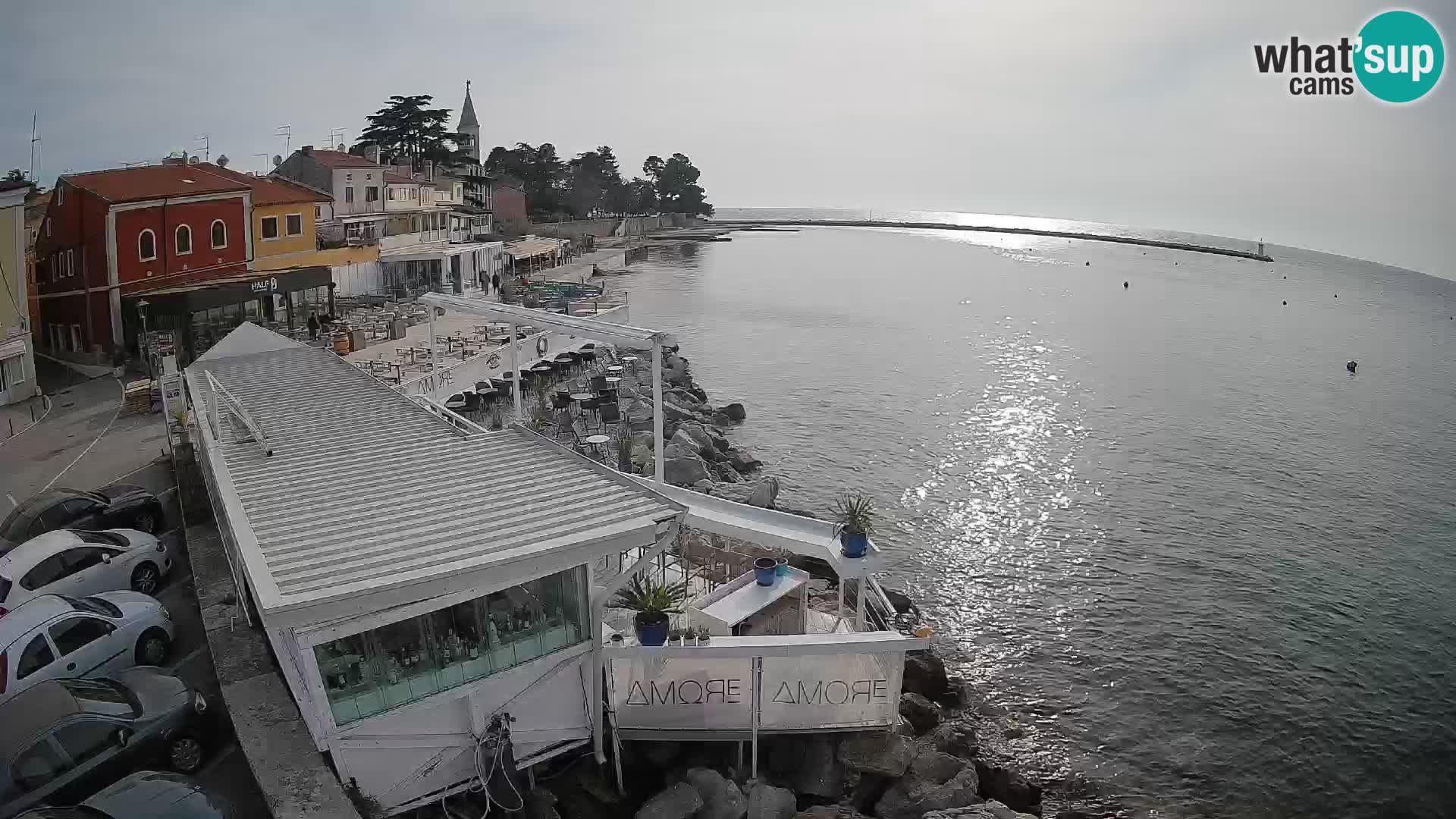 Novigrad – Porporela