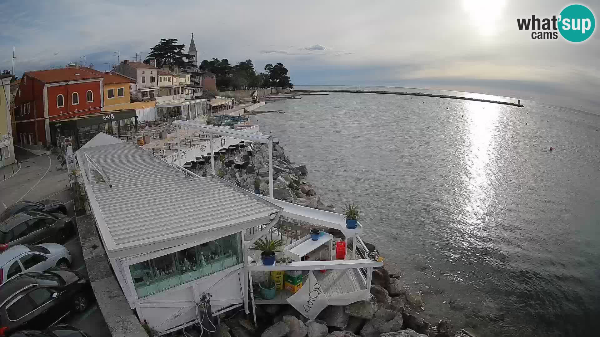 V živo Novigrad – Porporela