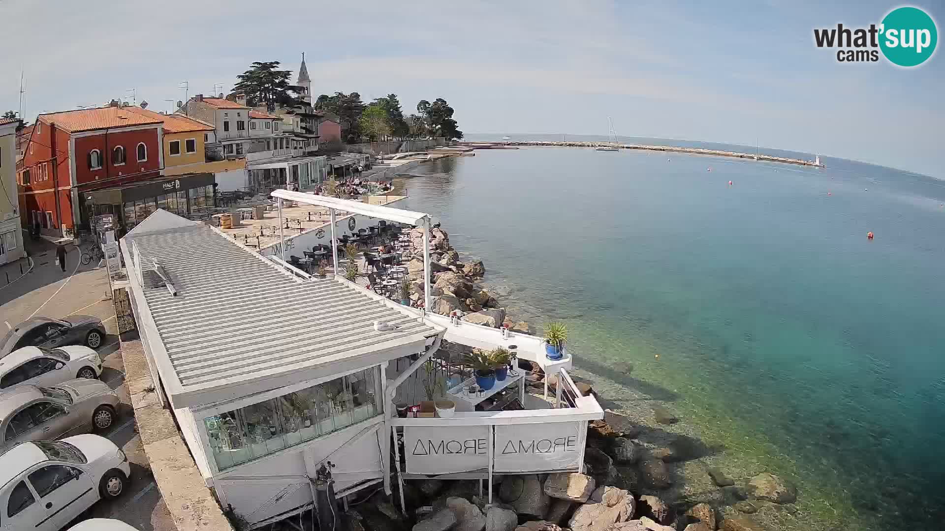 Live webcam Novigrad – Porporela – Istria – Croatia