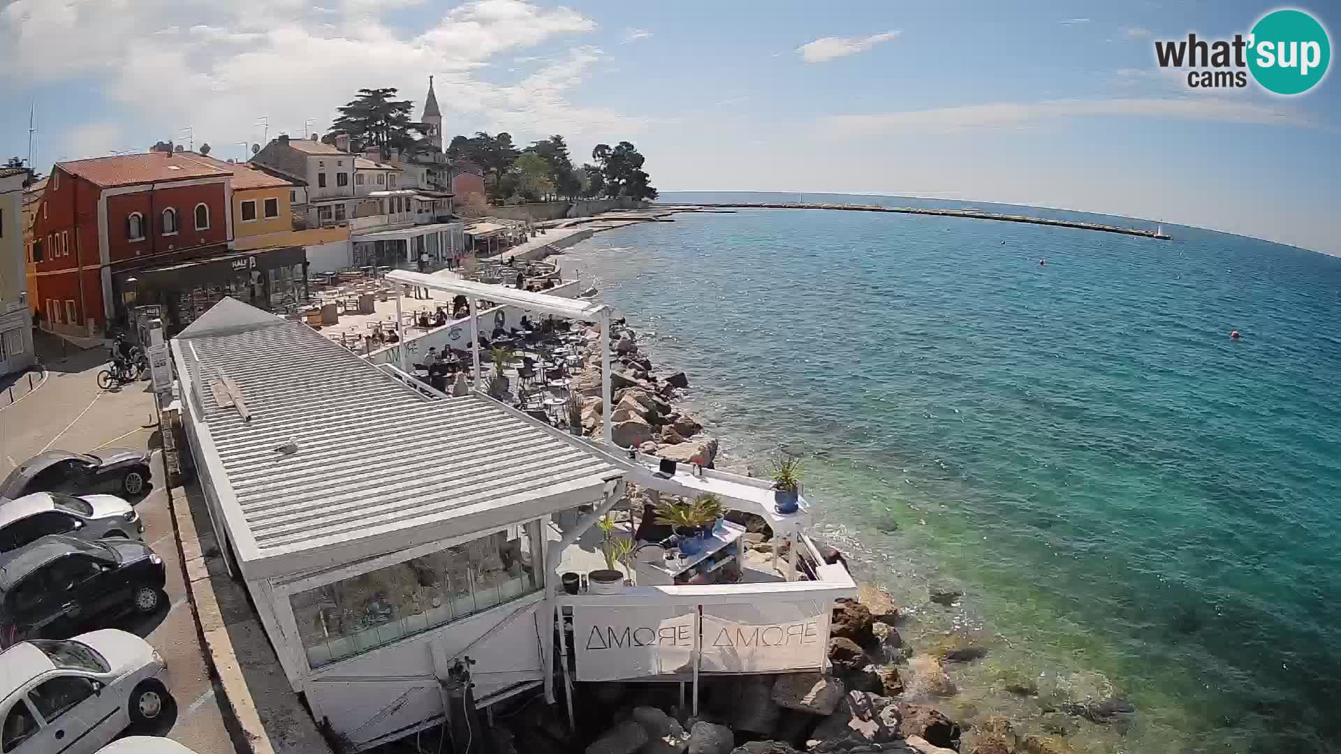 LIVE cam Novigrad – Porporela