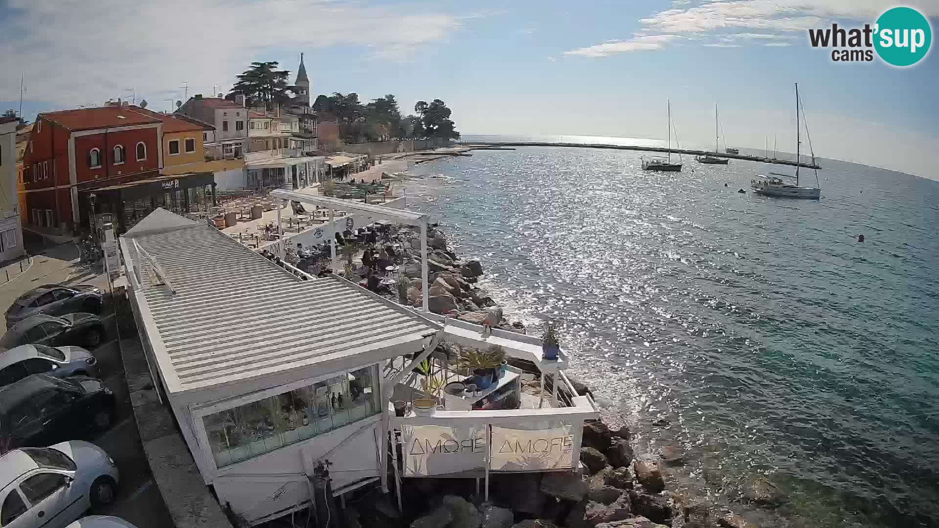 V živo Novigrad – Porporela