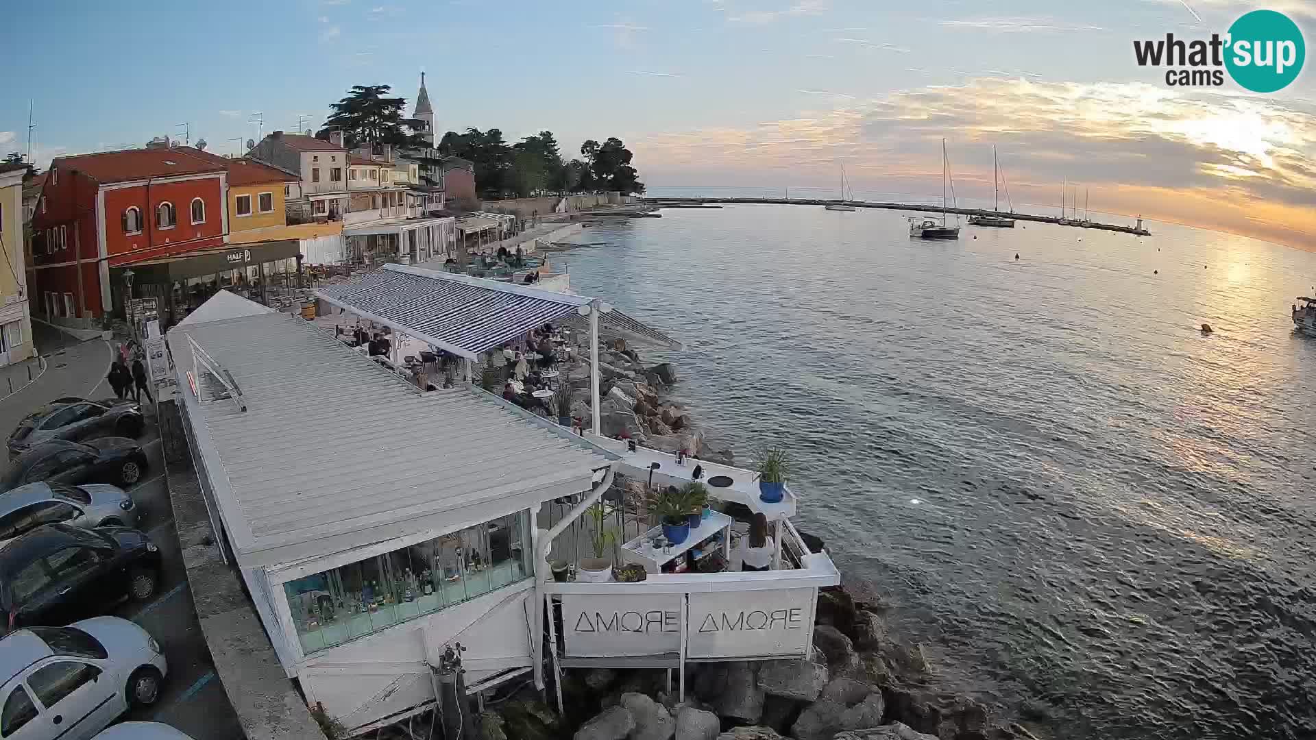 V živo Novigrad – Porporela