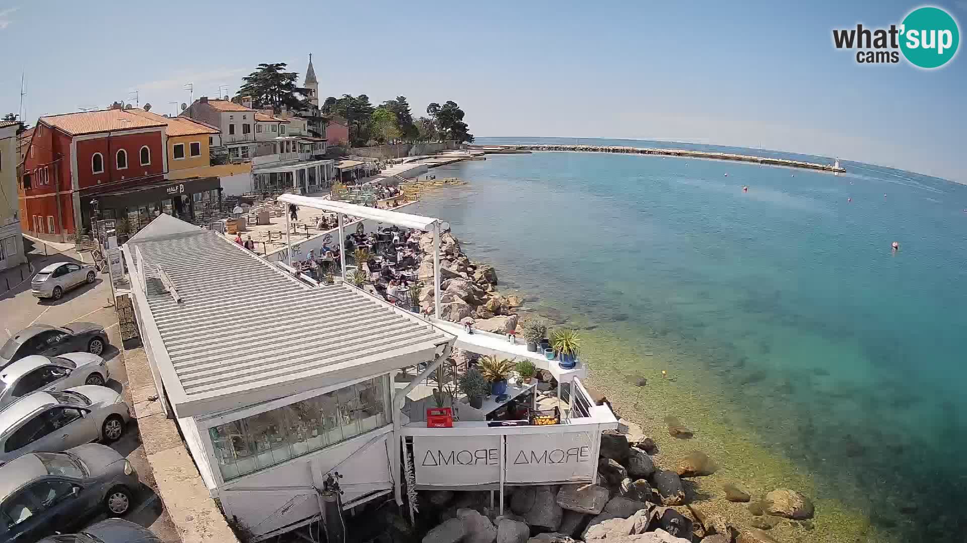 Cittanova – Porporela