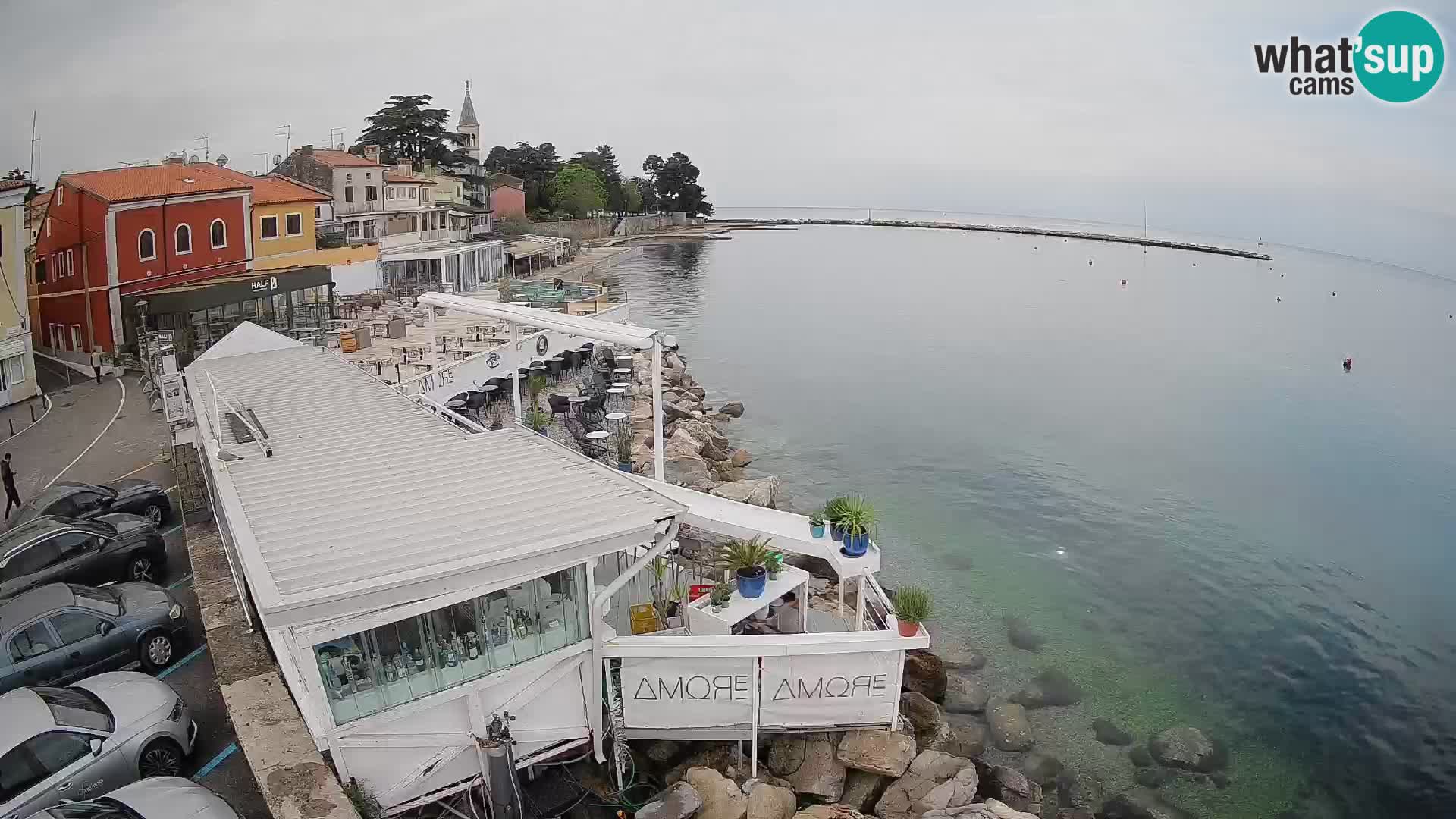 Novigrad – Porporela