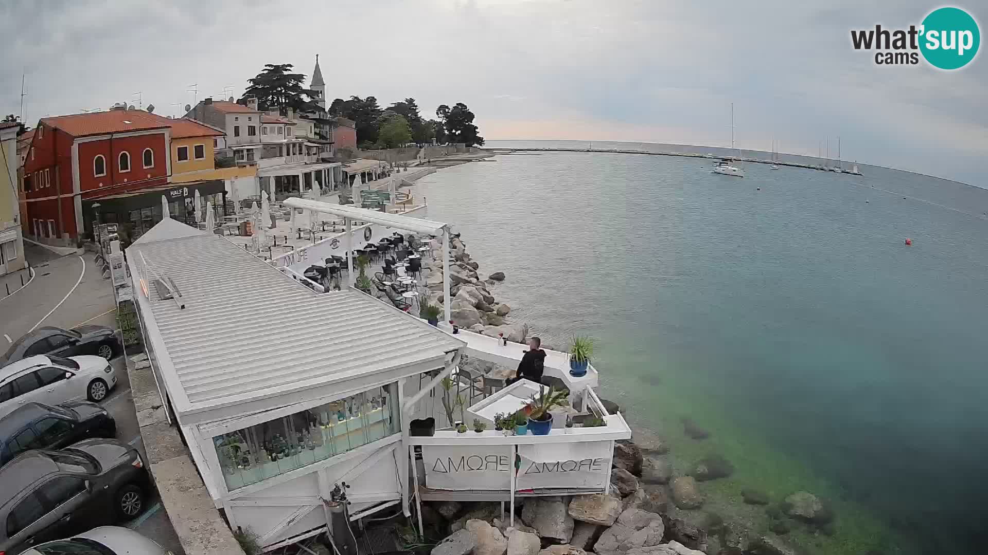 Novigrad live webcam – Porporela