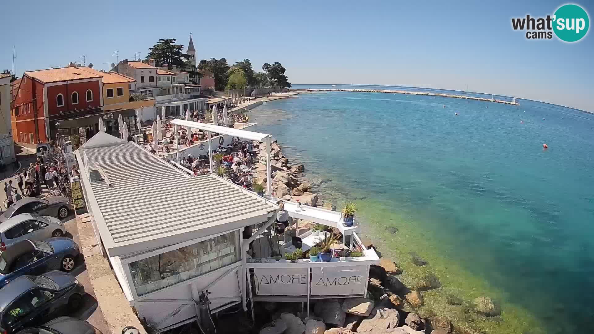 Novigrad web kamera – Porporela
