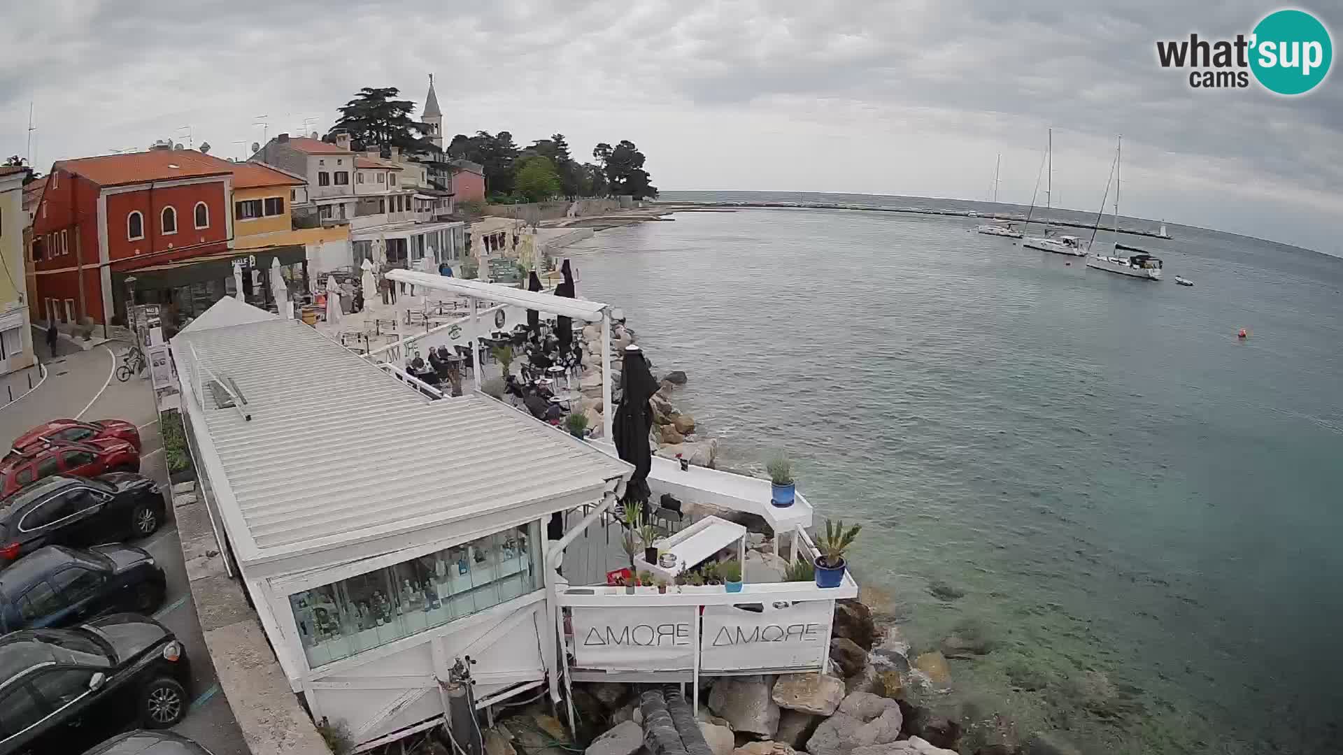 Novigrad – Porporela