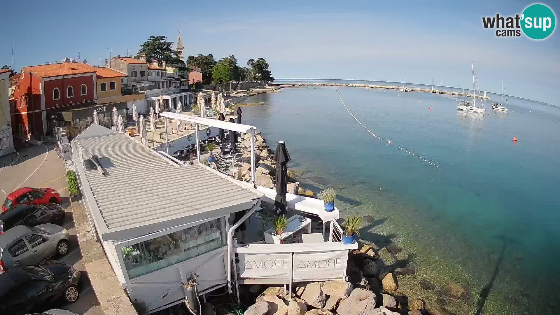 V živo Novigrad – Porporela