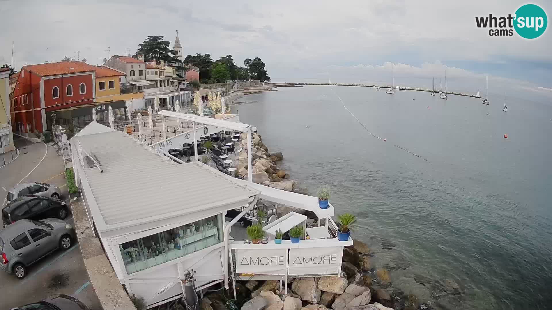 Novigrad web kamera – Porporela