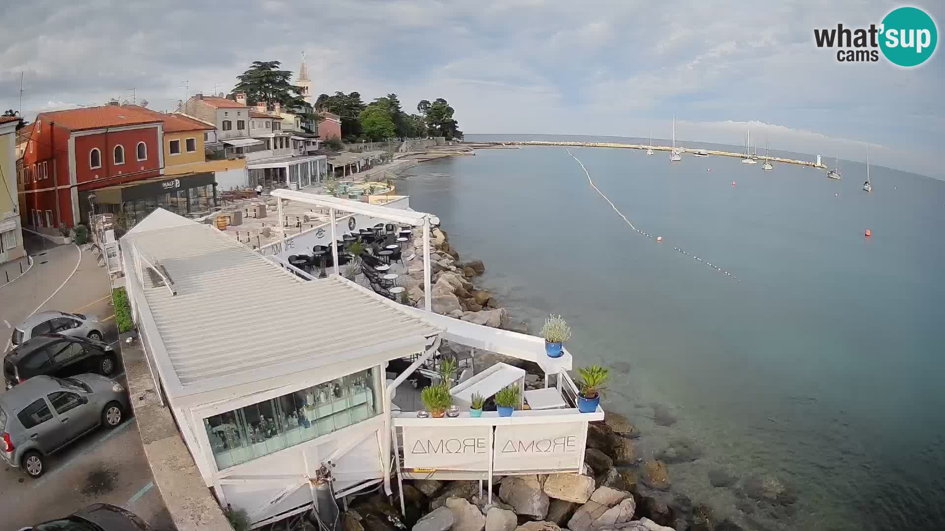 LIVE cam Novigrad – Porporela