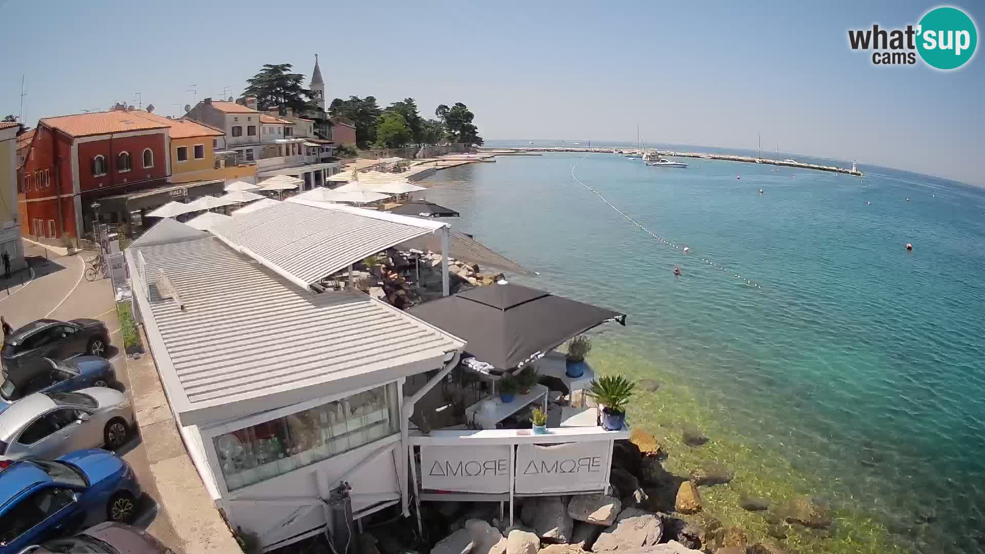 Novigrad live webcam – Porporela