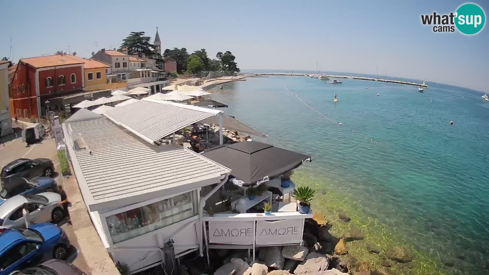 LIVE cam Novigrad – Porporela