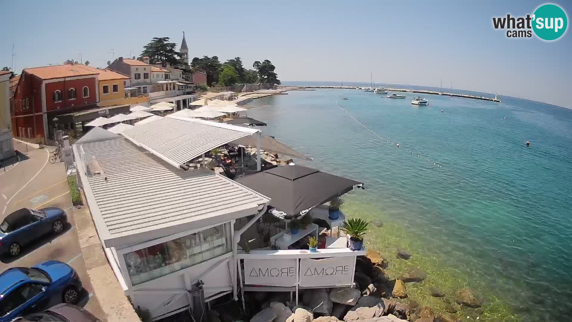 V živo Novigrad – Porporela