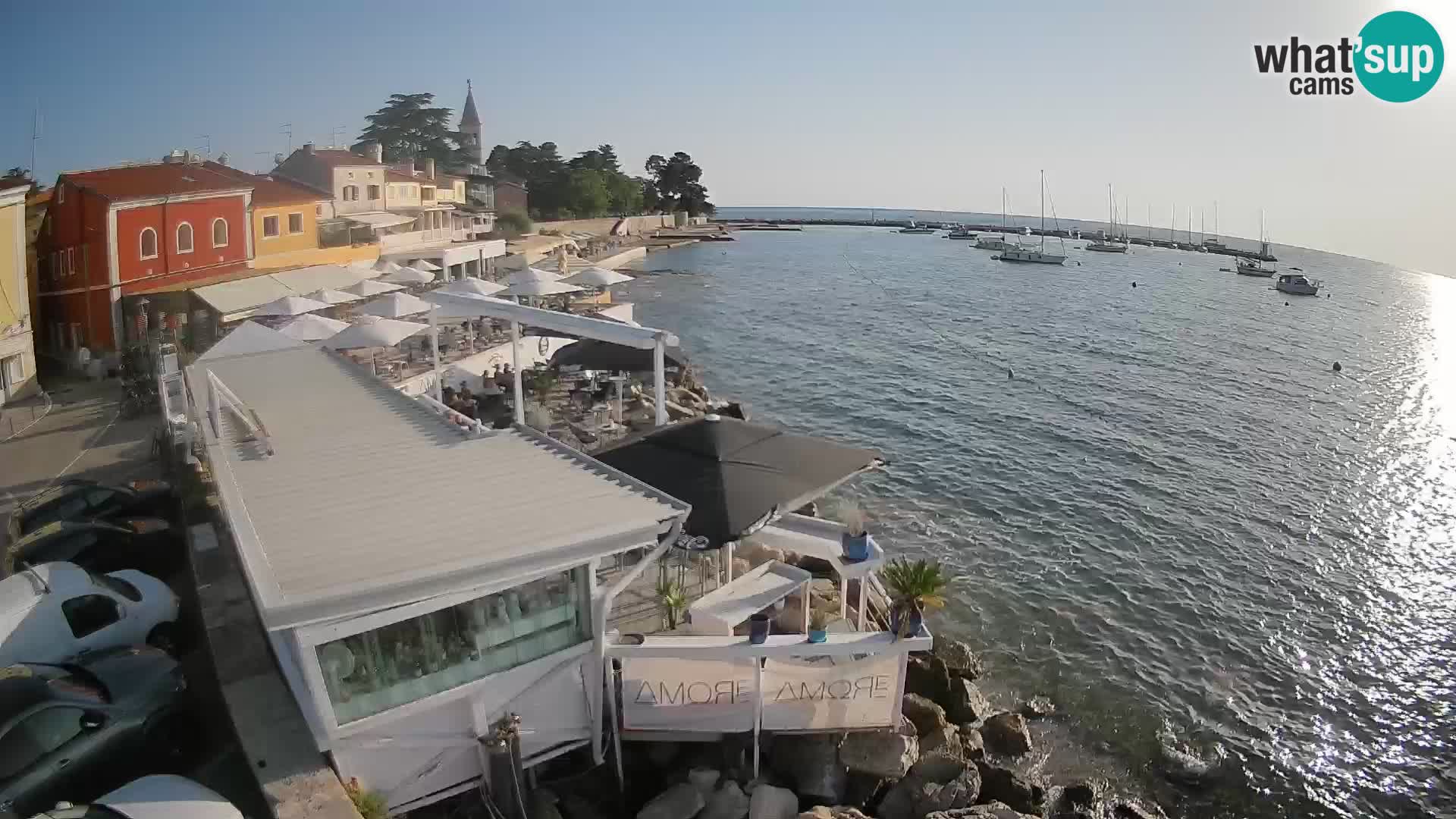 Novigrad web kamera – Porporela