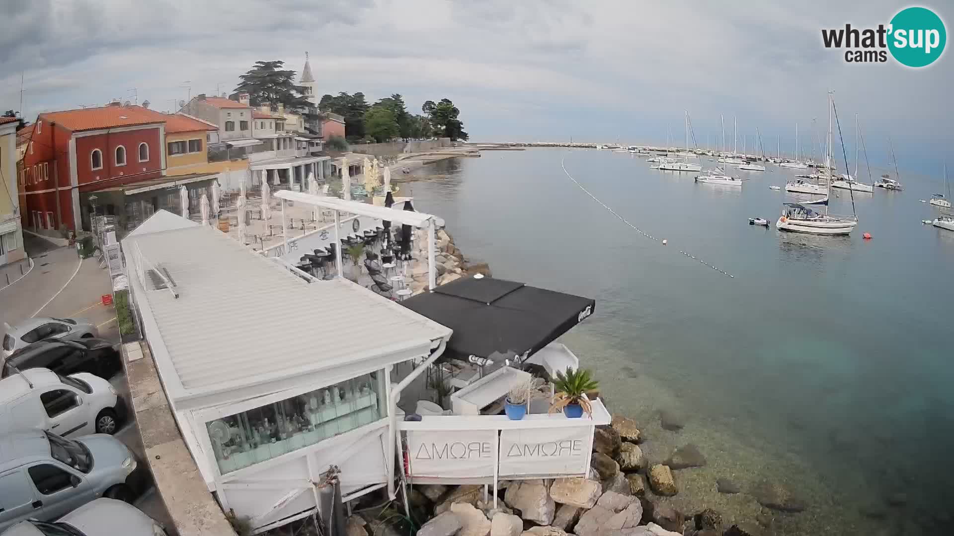 Cittanova – Porporela