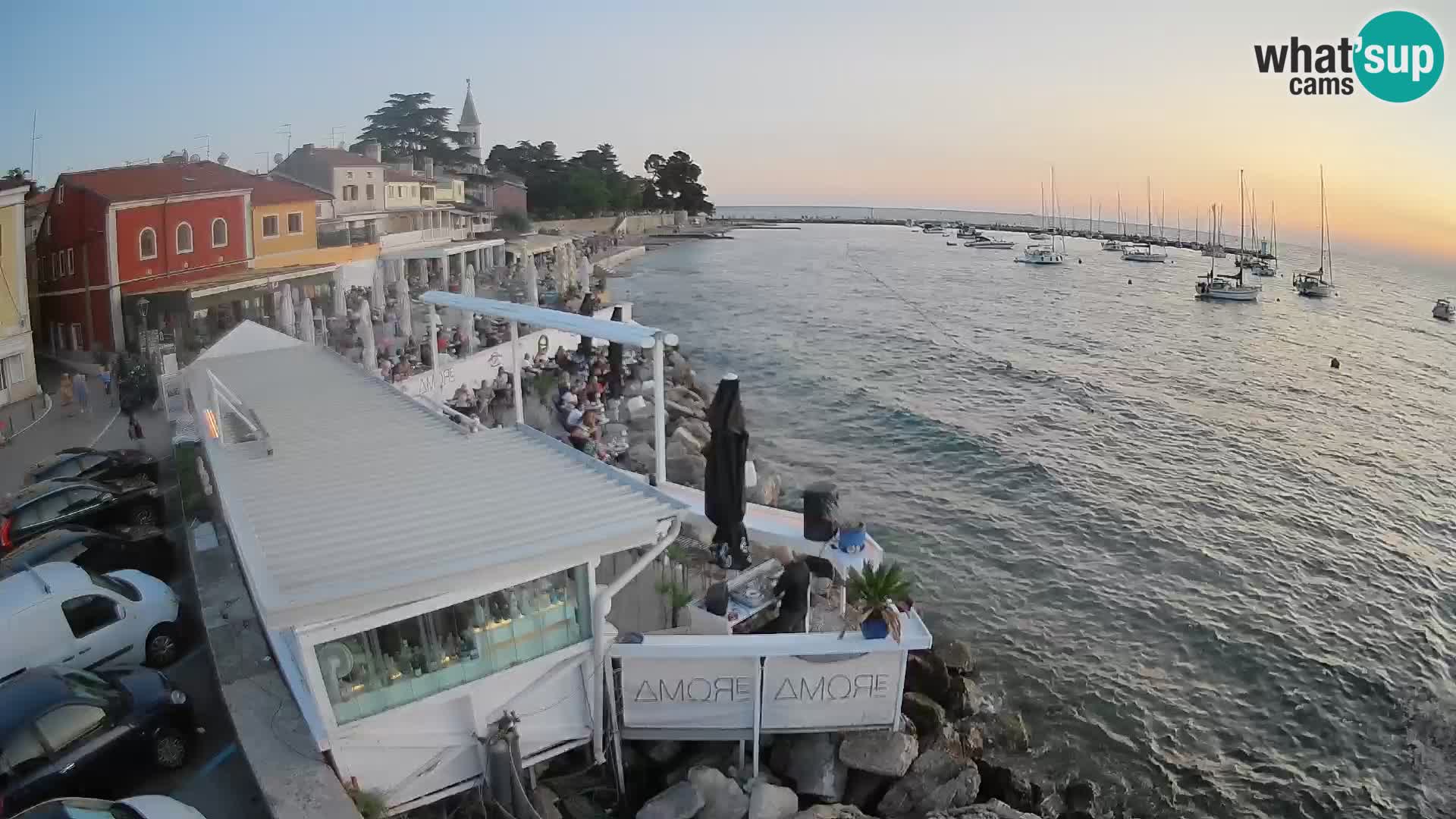 V živo Novigrad – Porporela