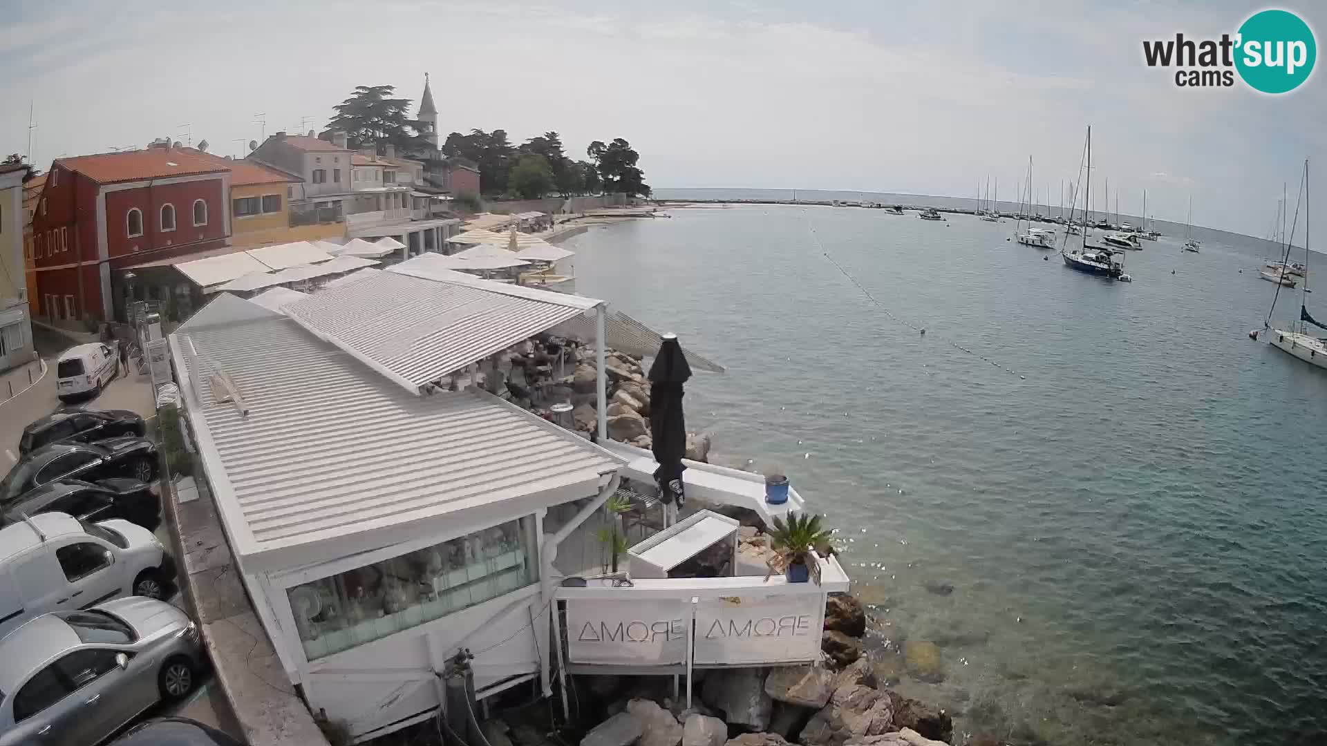 Novigrad web kamera – Porporela