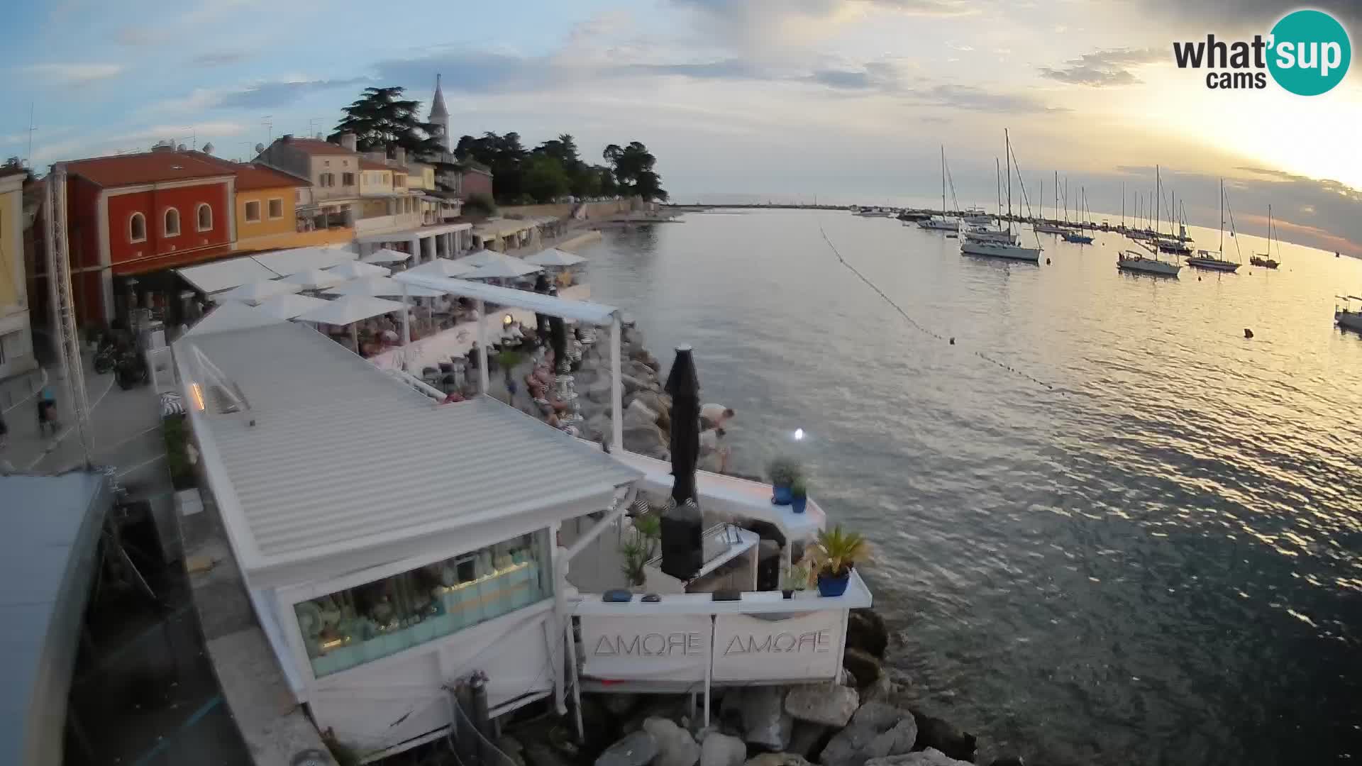 Live webcam Novigrad – Porporela – Istria – Croatia