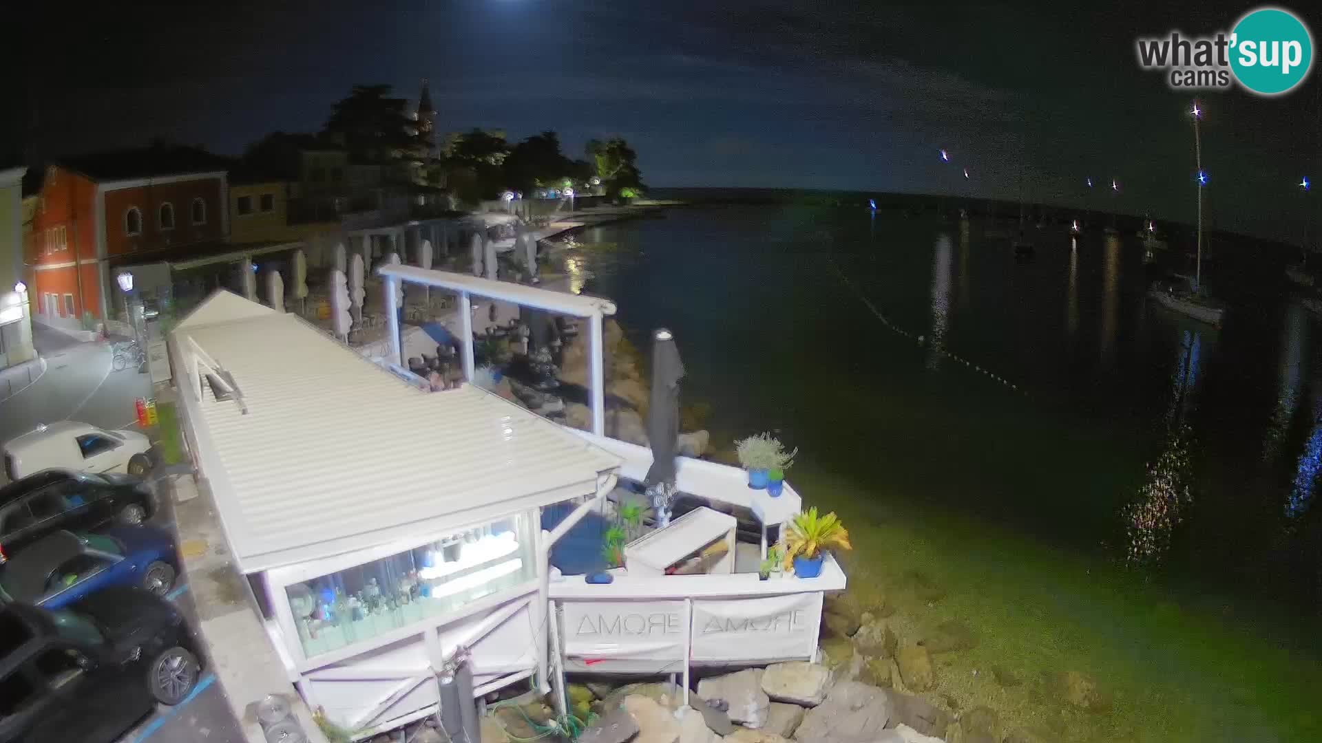 V živo Novigrad – Porporela