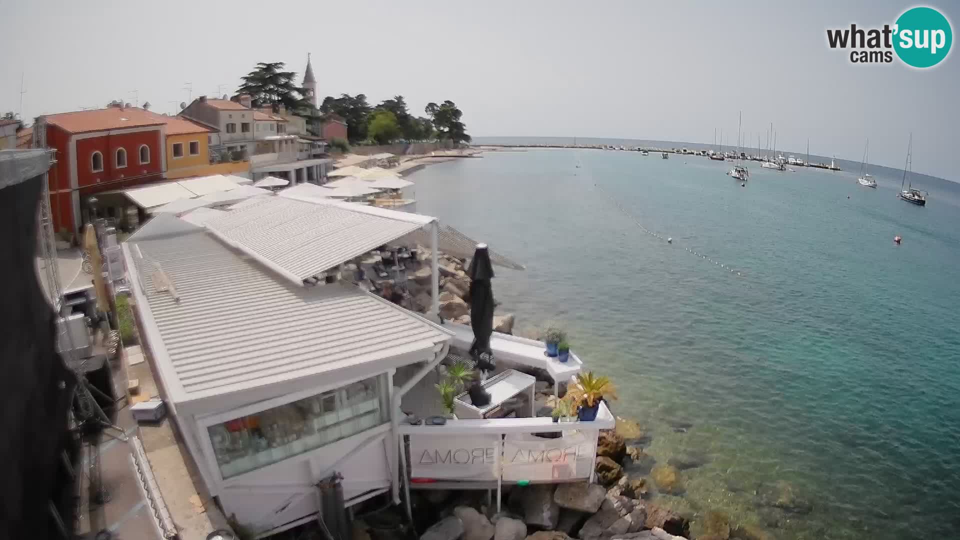 V živo Novigrad – Porporela