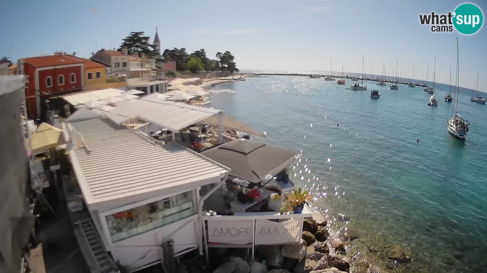 Novigrad – Porporela
