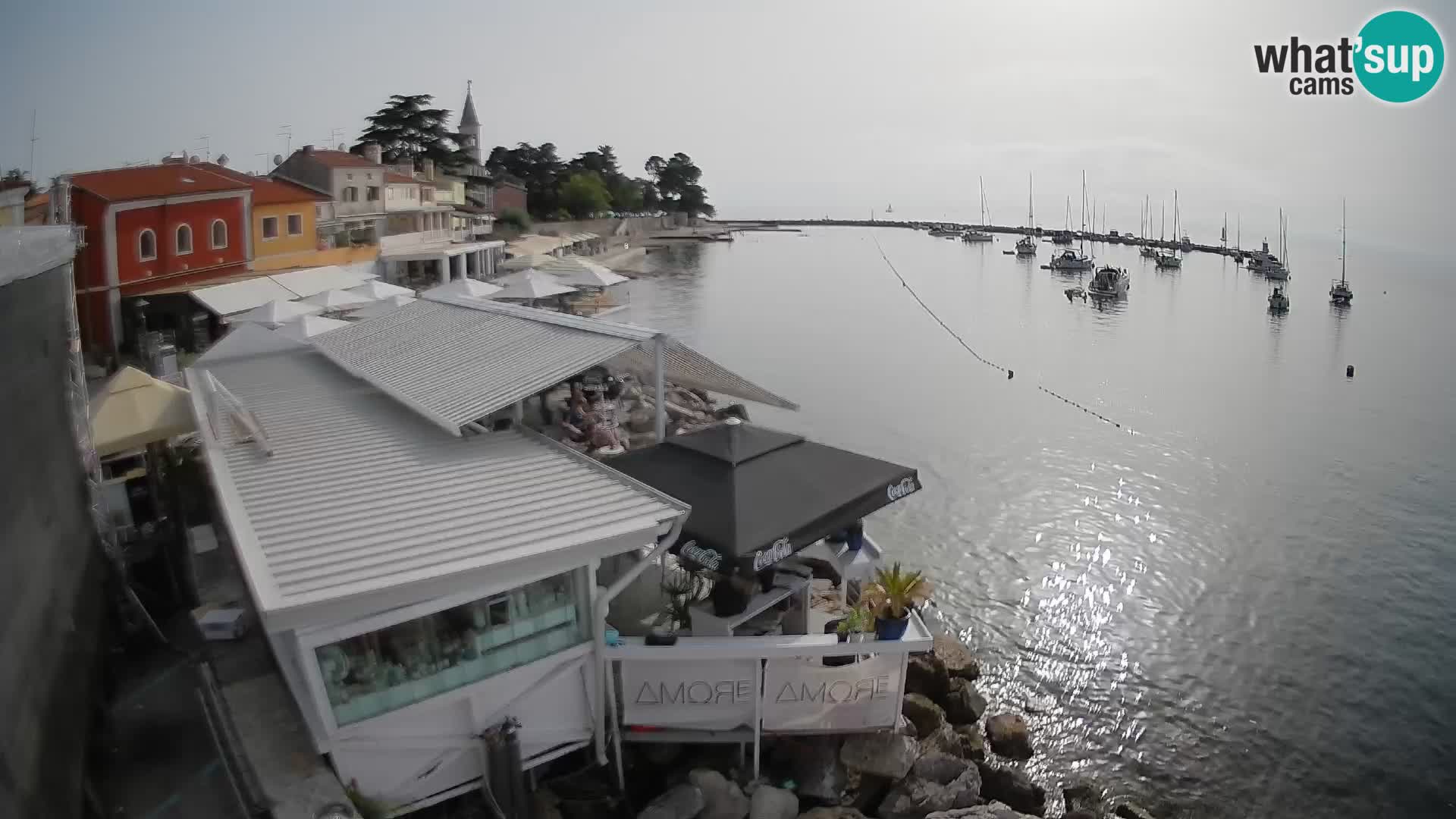 Live webcam Novigrad – Porporela – Istria – Croatia