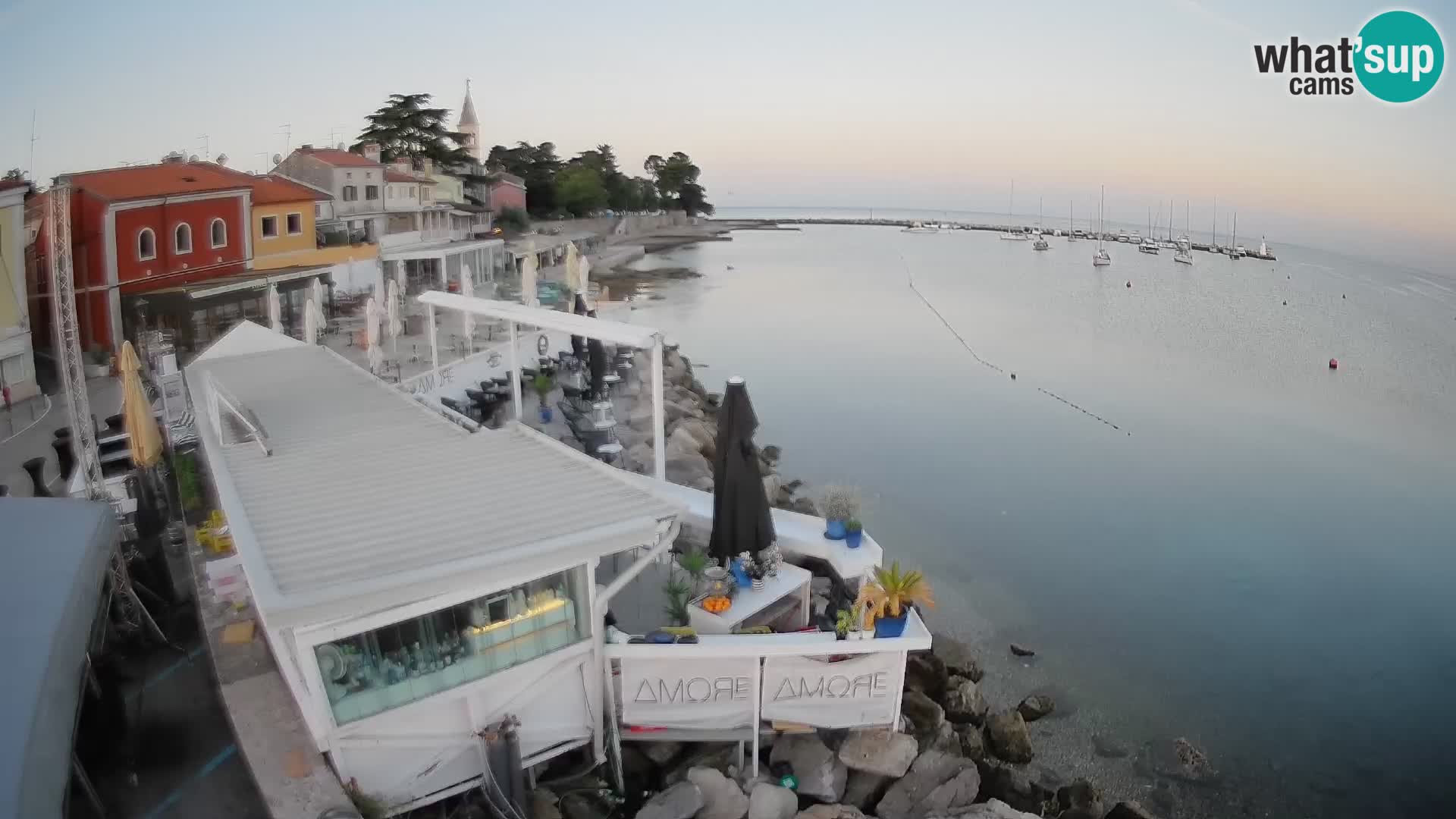 Cittanova – Porporela