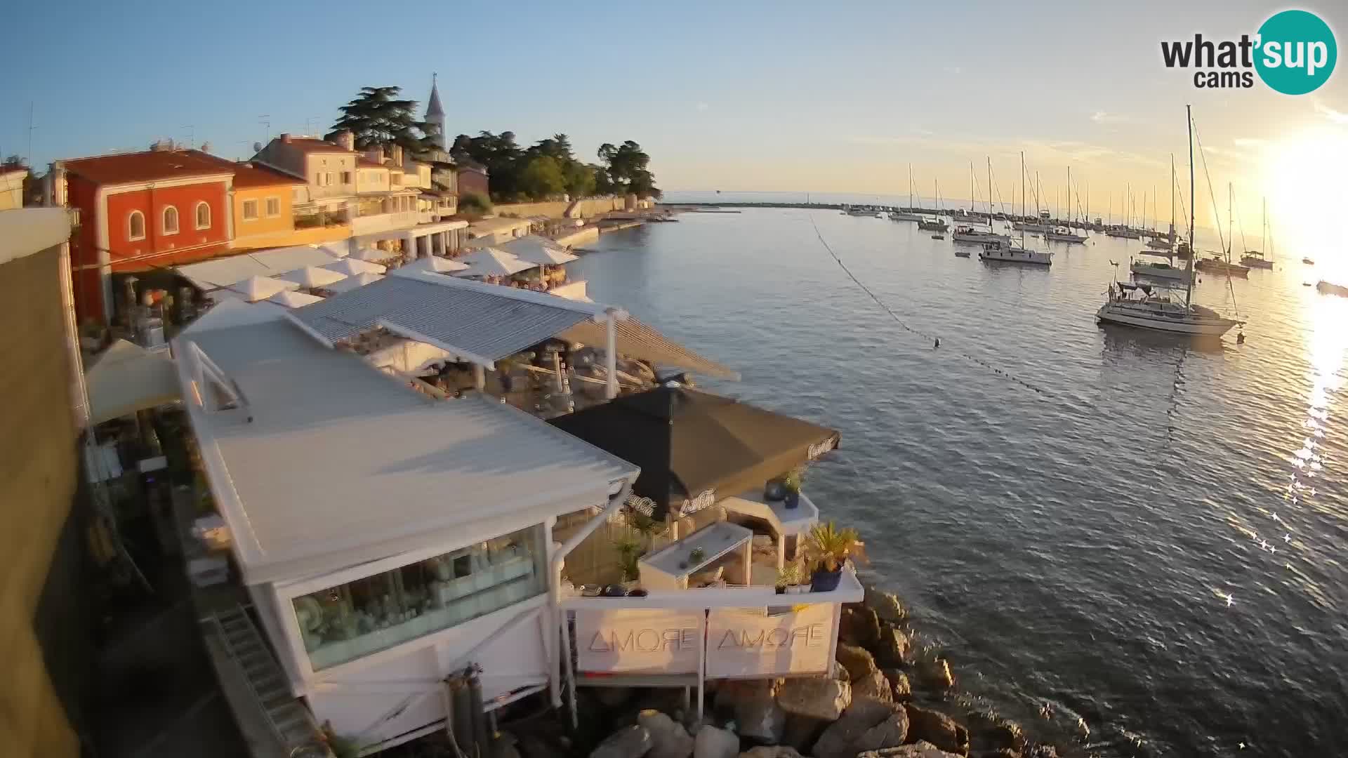 LIVE cam Novigrad – Porporela