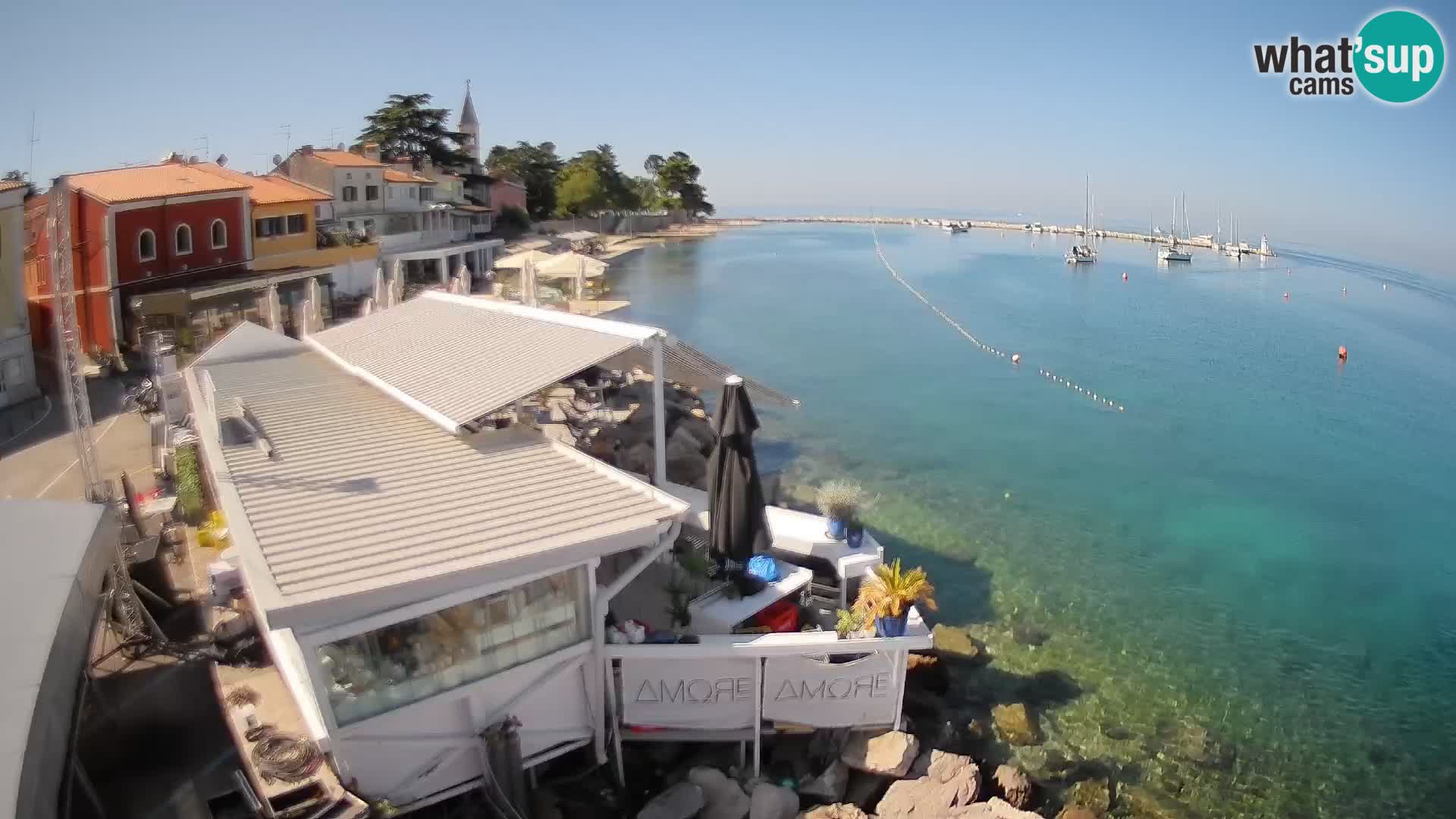 V živo Novigrad – Porporela