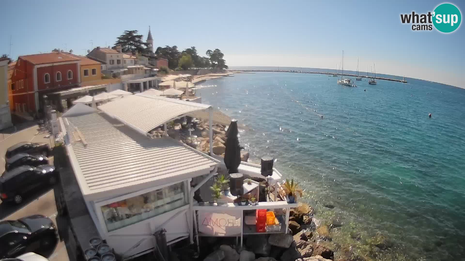 Novigrad live webcam – Porporela