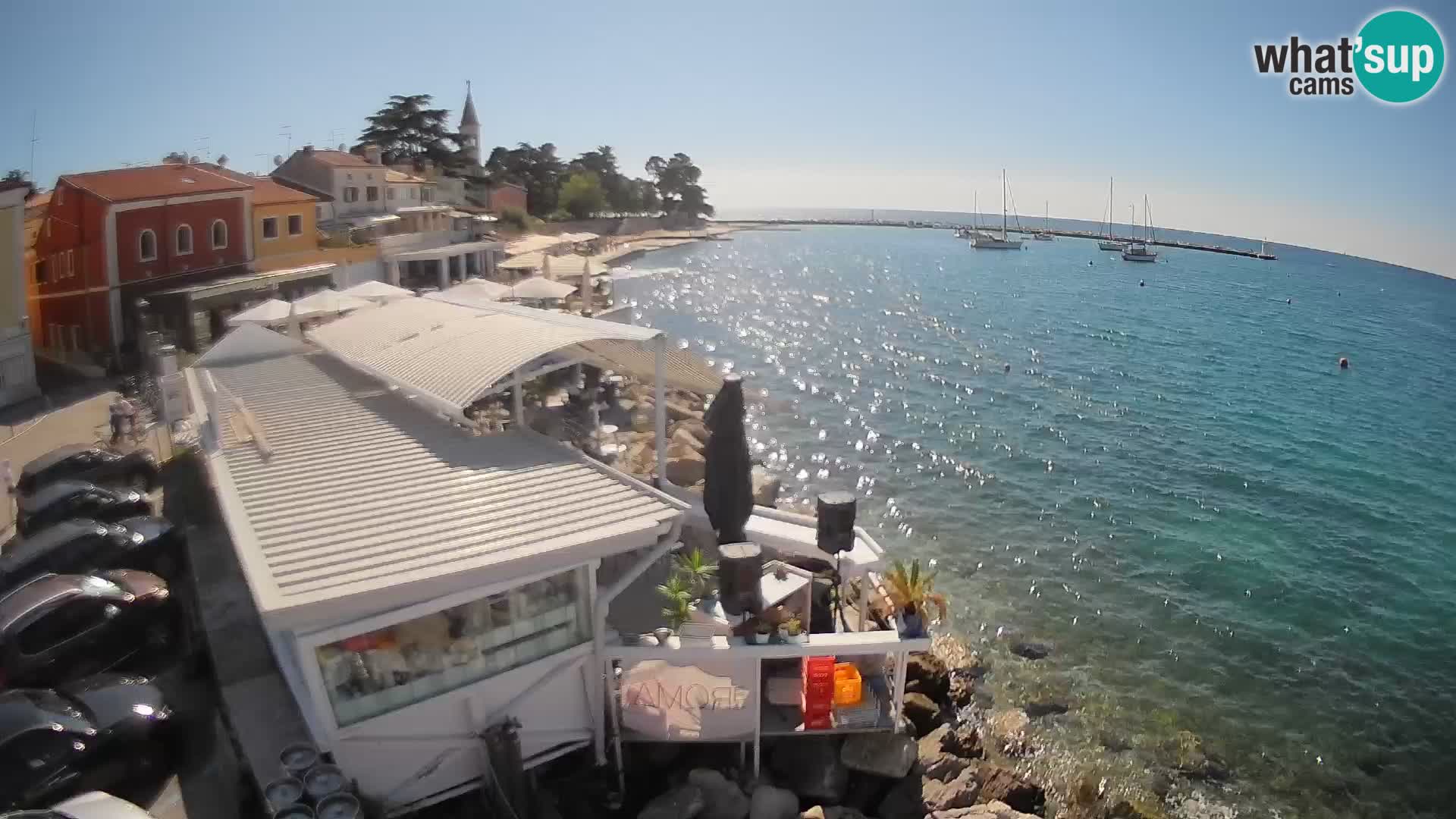 LIVE cam Novigrad – Porporela
