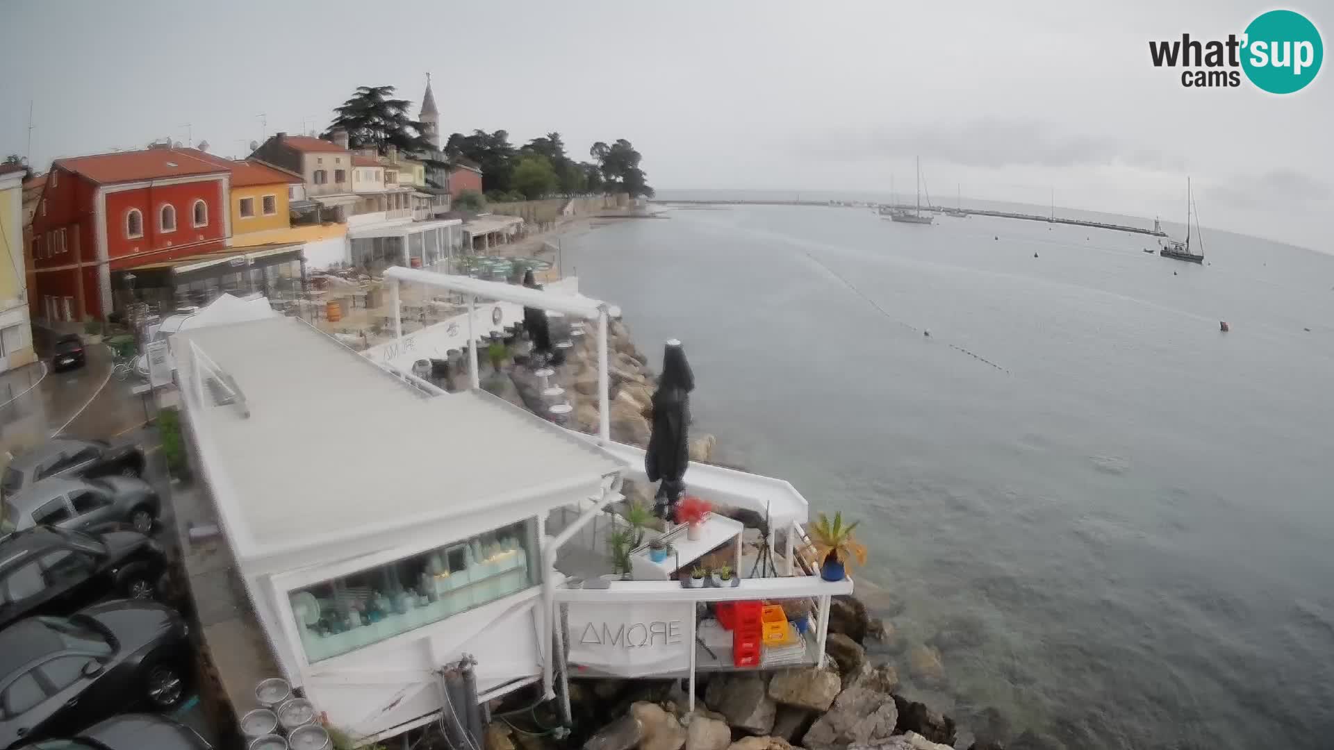 Novigrad – Porporela