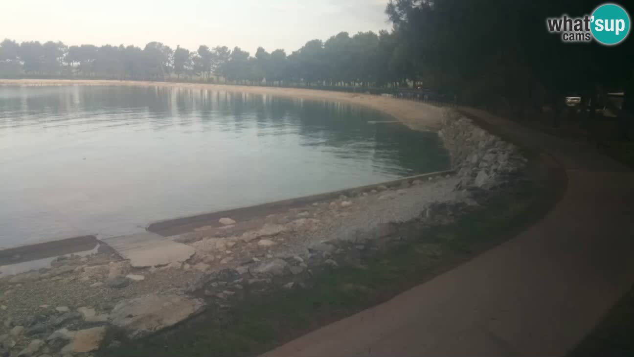 Novigrad live cam – Karpinjan beach