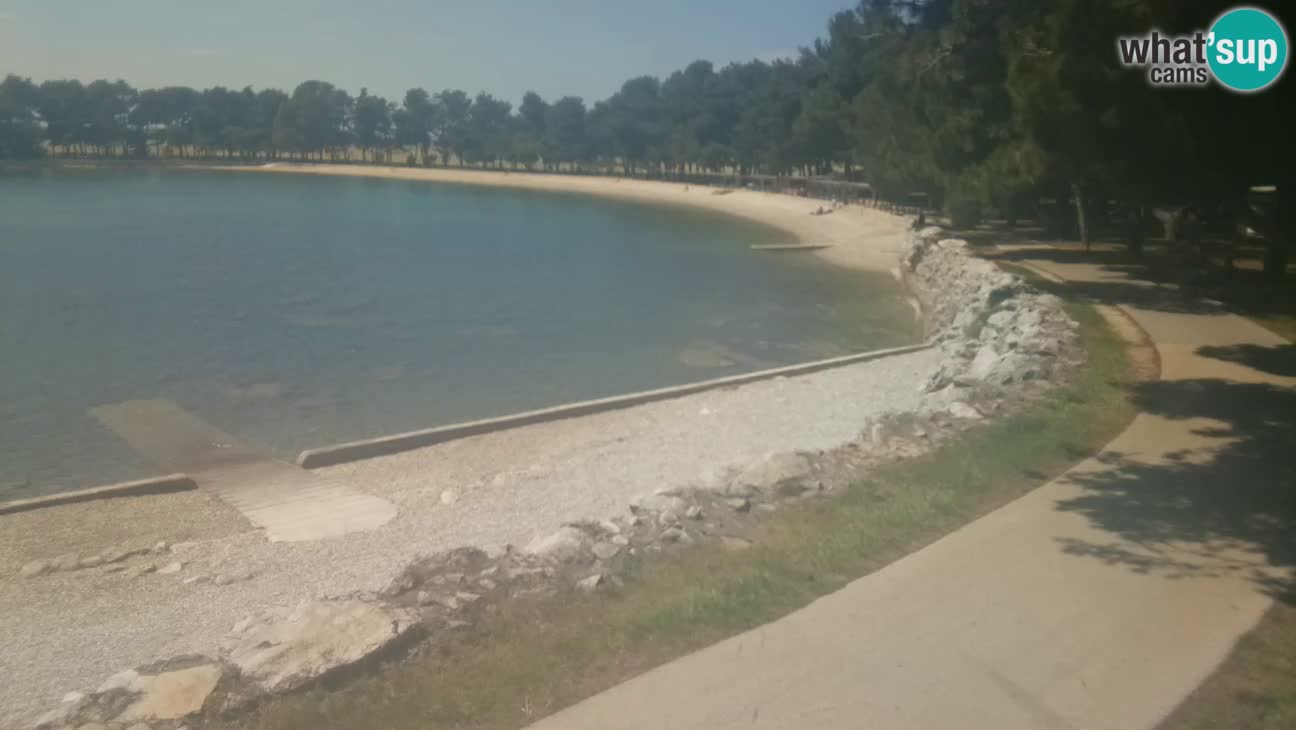 Novigrad live cam – Karpinjan beach