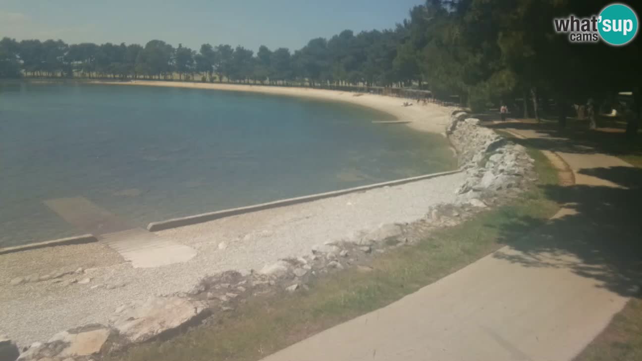 Novigrad – Plage Karpinjan