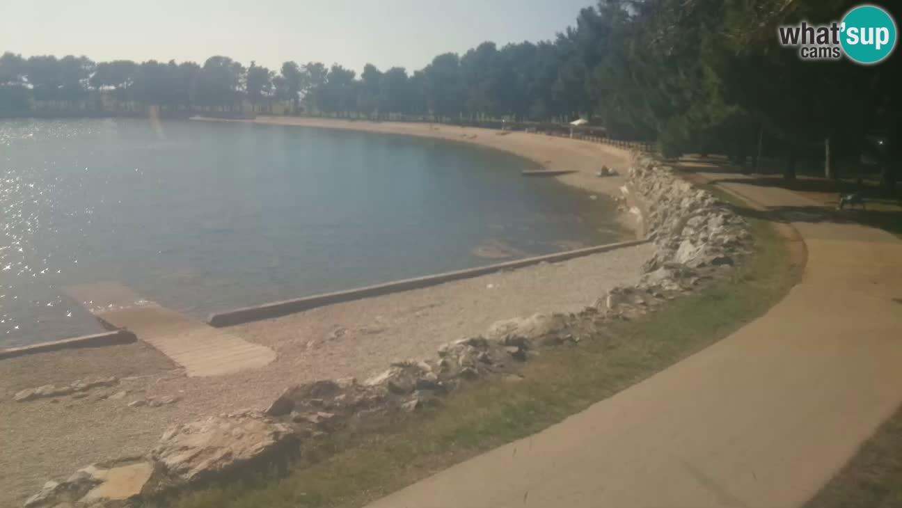 Novigrad – Plaža Karpinjan