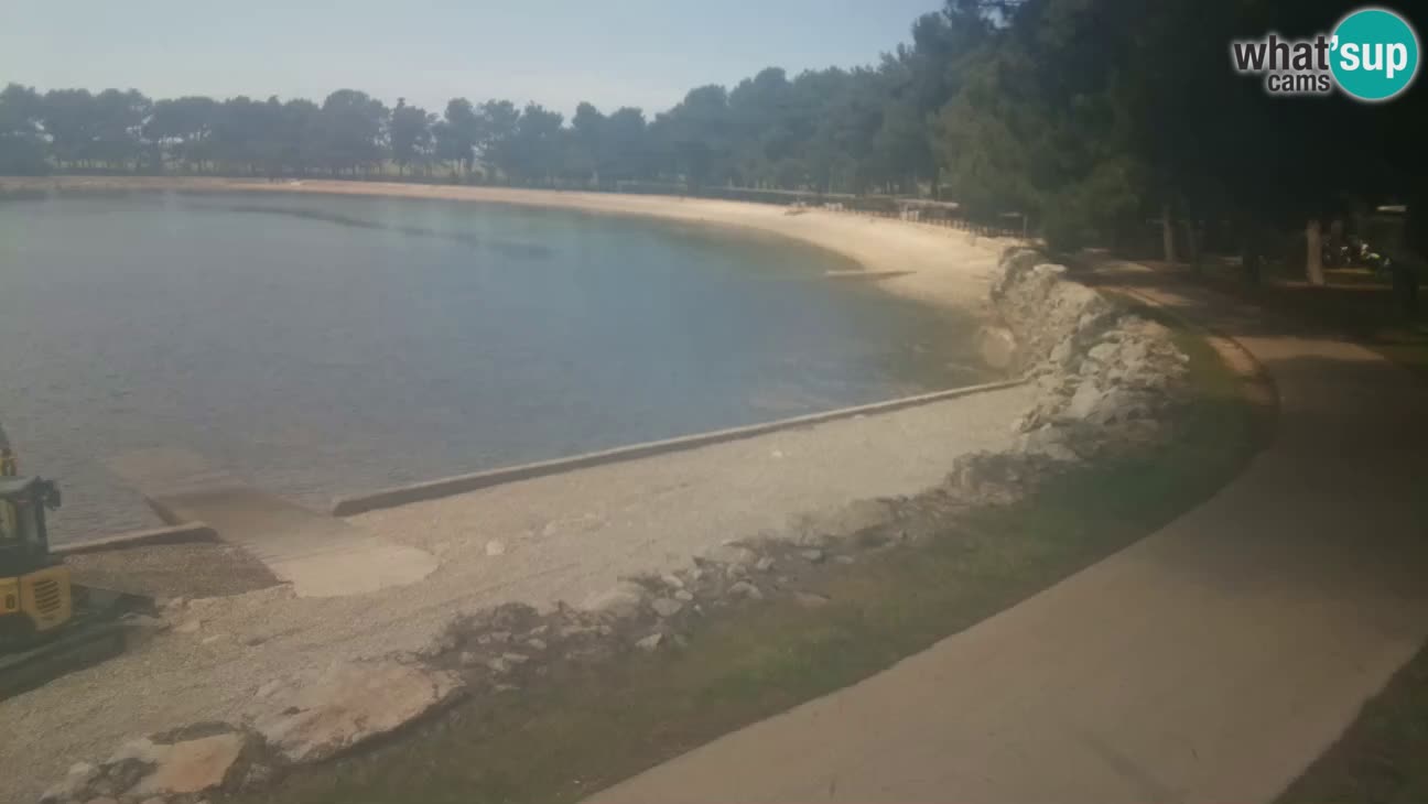 Novigrad live cam – Karpinjan beach