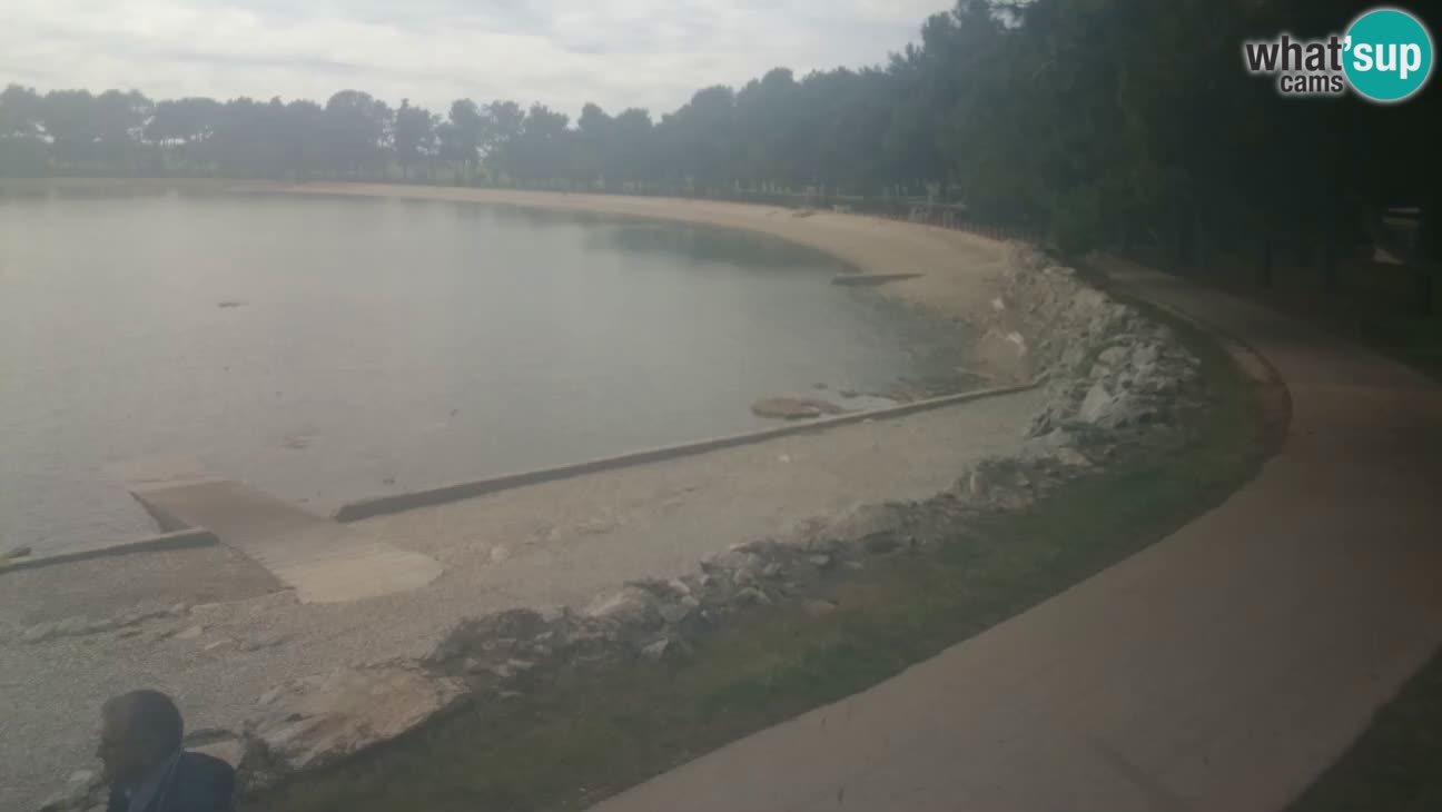 Novigrad live cam – Karpinjan beach
