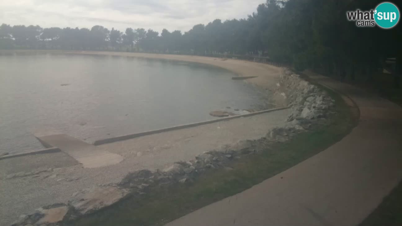 Novigrad – Plage Karpinjan