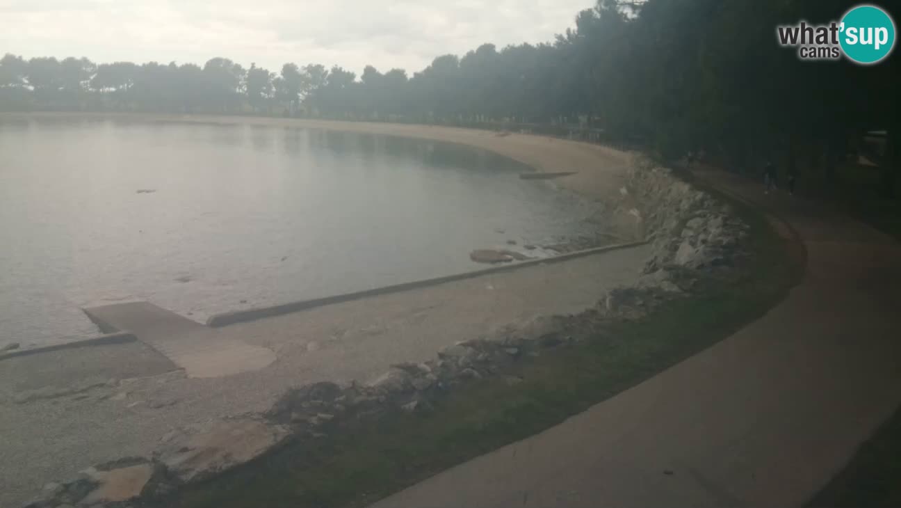 Novigrad live cam – Karpinjan beach