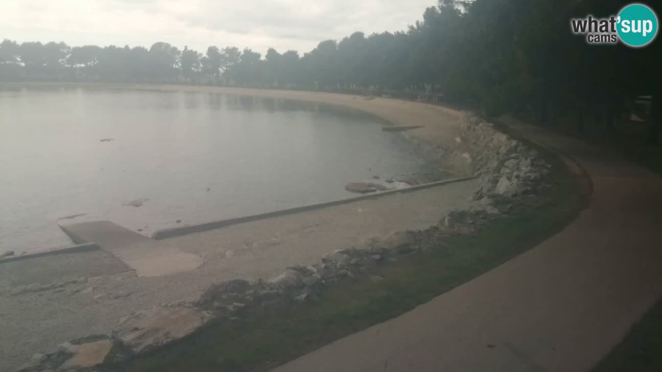 Novigrad – Plaža Karpinjan