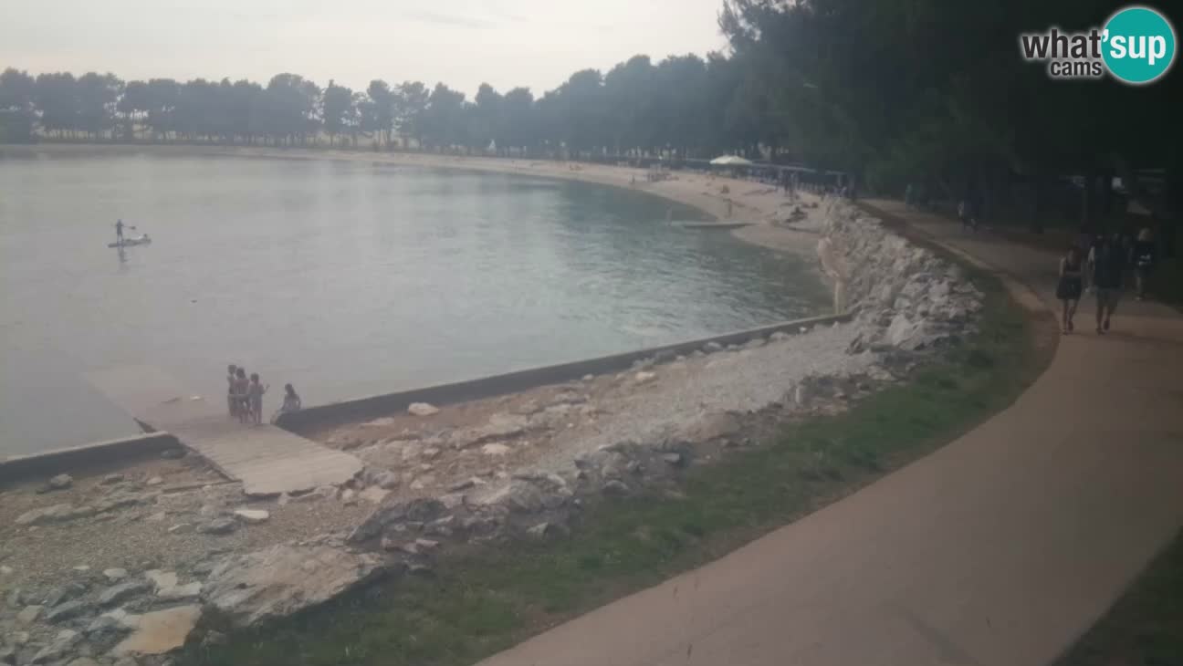 Novigrad live cam – Karpinjan beach
