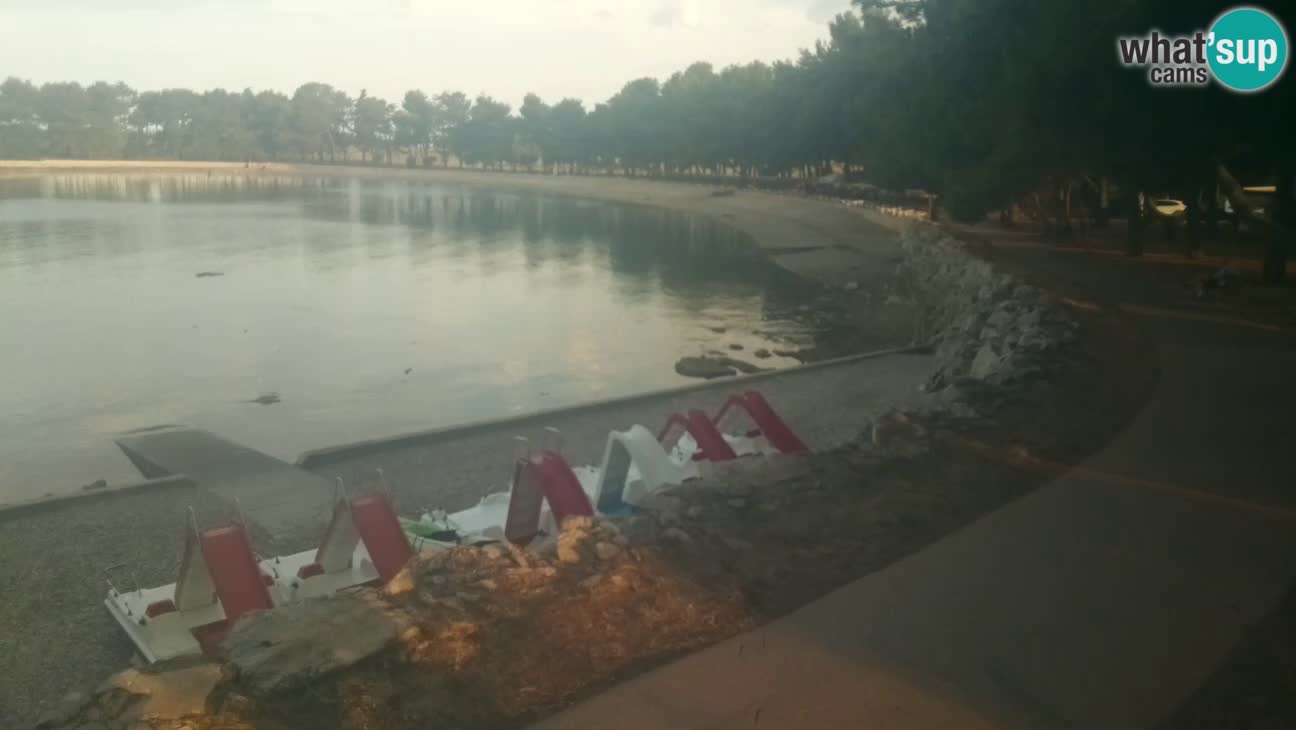 Novigrad – Plaža Karpinjan