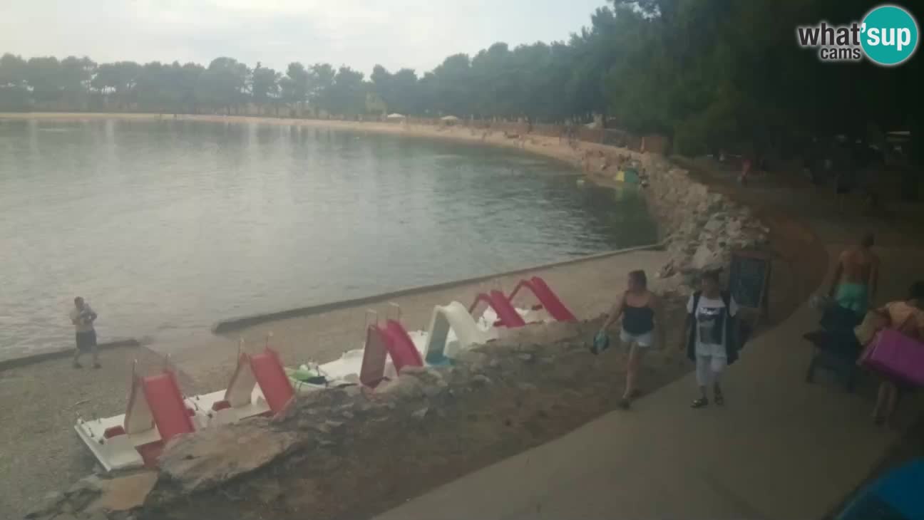 Novigrad live cam – Karpinjan beach