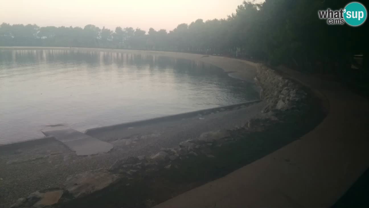 Novigrad – Plaža Karpinjan