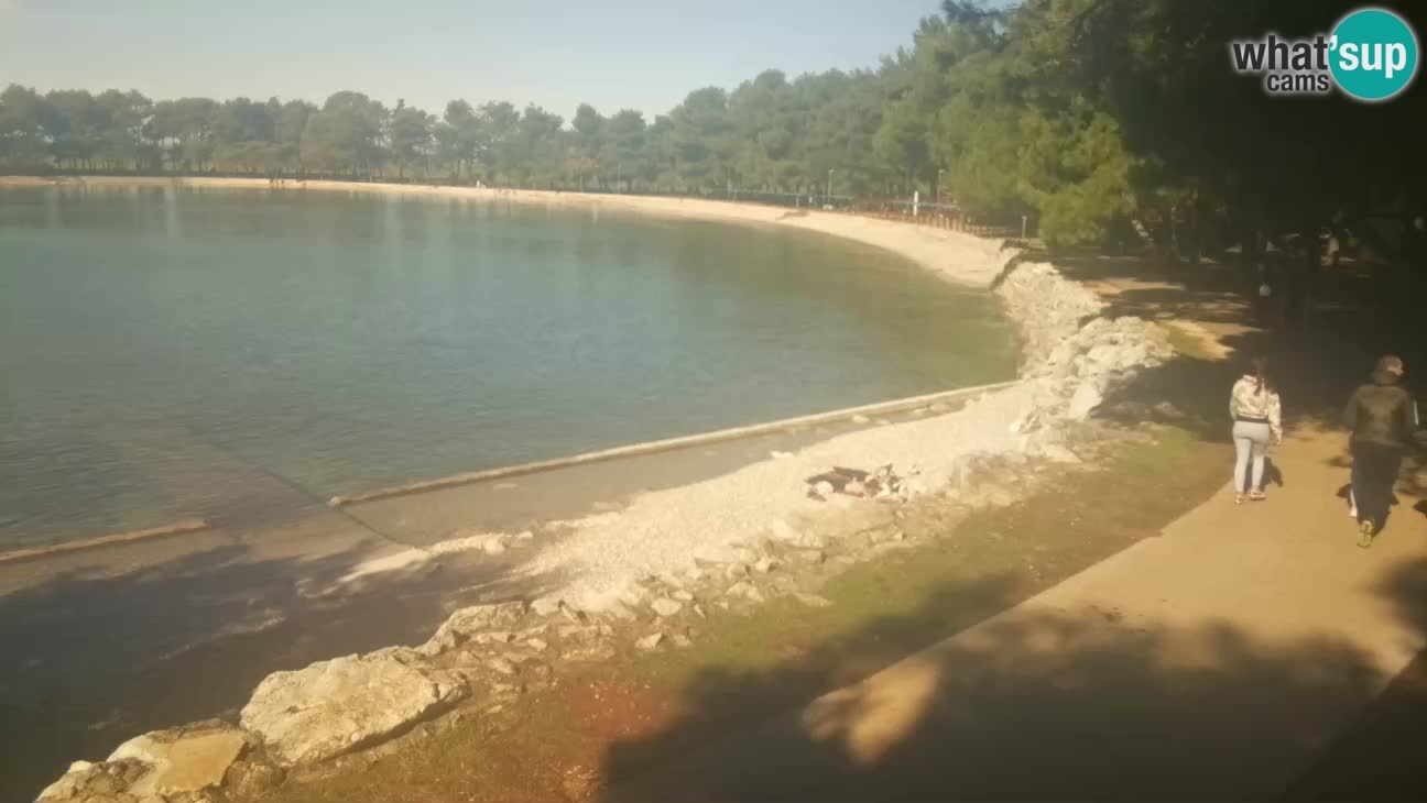 Novigrad live cam – Karpinjan beach