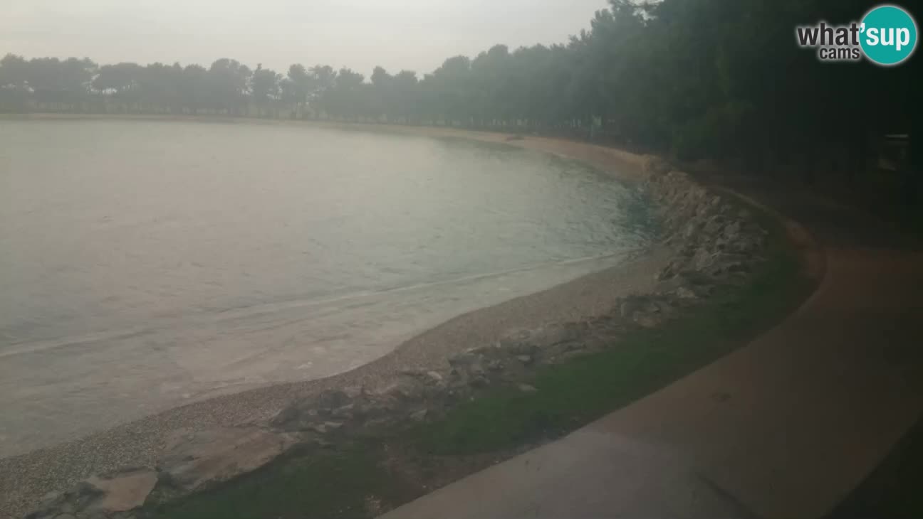 Cittanova – Spiaggia Karpinjan