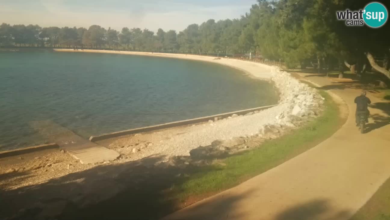 Novigrad – Playa Karpinjan